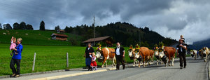 Alpbzug5.jpg 